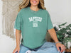 Baptized 2026 Shirt, Baptism Ceremony T-Shirt, Comfort Colors Tee, Christian Faith Shirt, New Believer Tee, Church Outfit, Baptism Gift