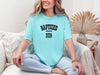 Baptized 2026 Shirt, Baptism Ceremony T-Shirt, Comfort Colors Tee, Christian Faith Shirt, New Believer Tee, Church Outfit, Baptism Gift